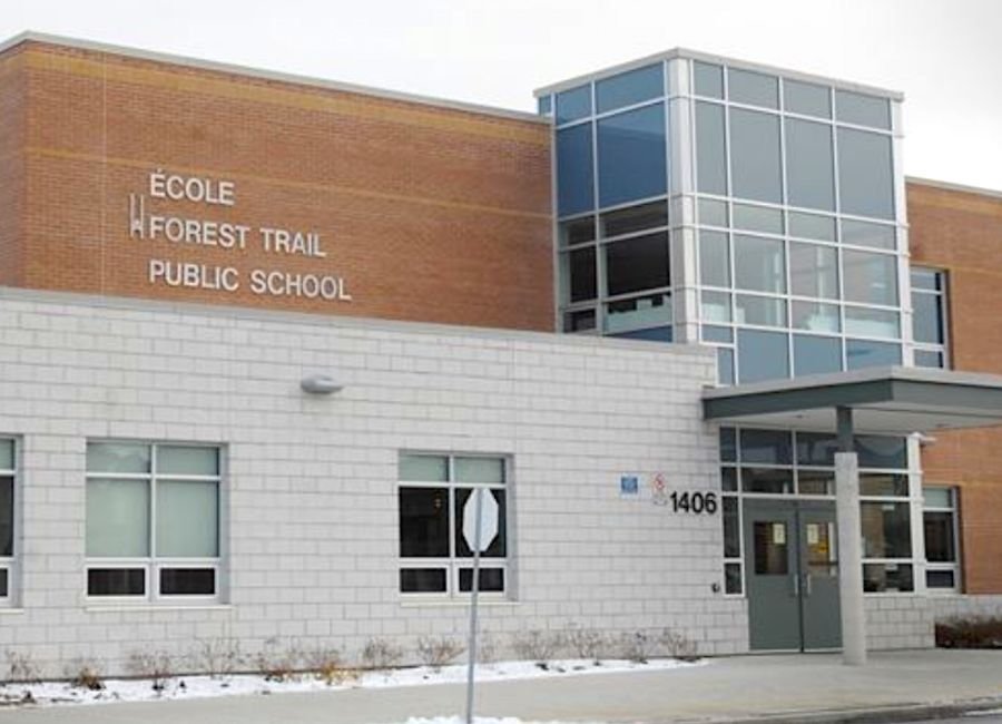 Forest Trail PS